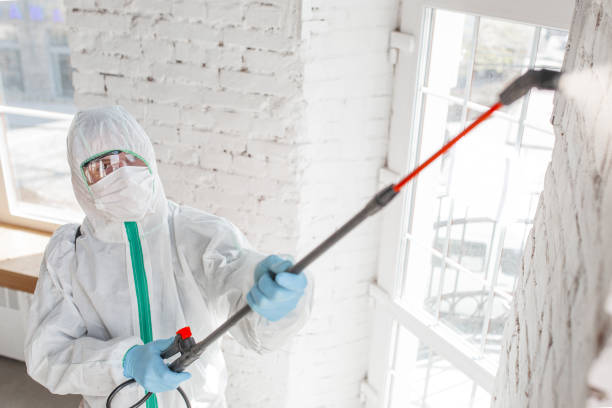 Best Forensic Mold Investigation  in South Taft, CA