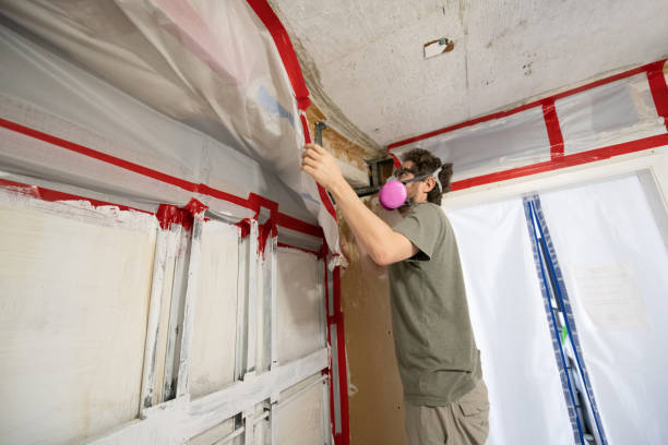 Mold Odor Removal Services in South Taft, CA