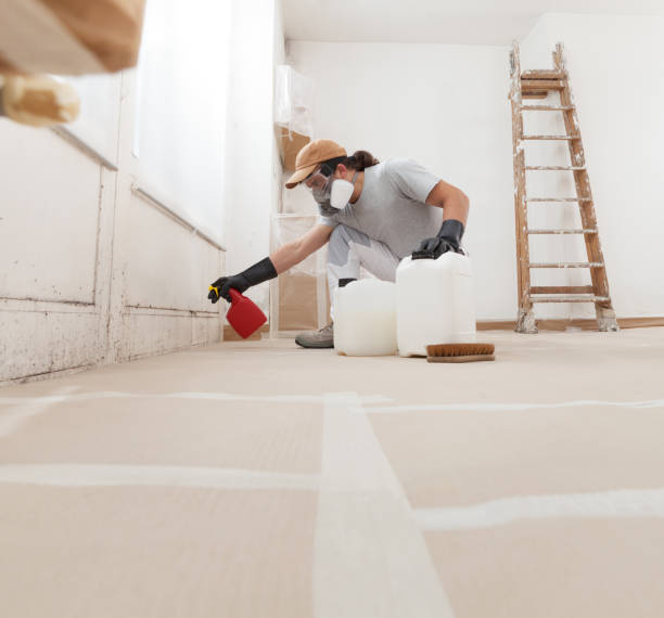 Best Comprehensive Air Testing for Mold Contaminants  in South Taft, CA