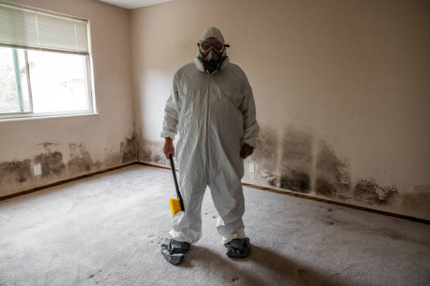 Best Post-Remediation Verification Testing  in South Taft, CA
